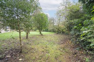 Photo 87- click for photo gallery